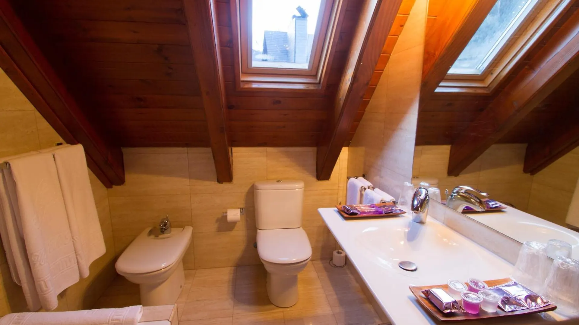 Gran Chalet Hotel & Petit Spa 3*, Vielha